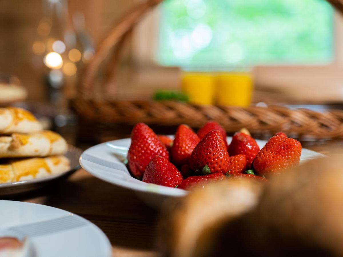 Hotel Treehous Sneznik S Wellness Dolna Morawa Zewnętrze zdjęcie