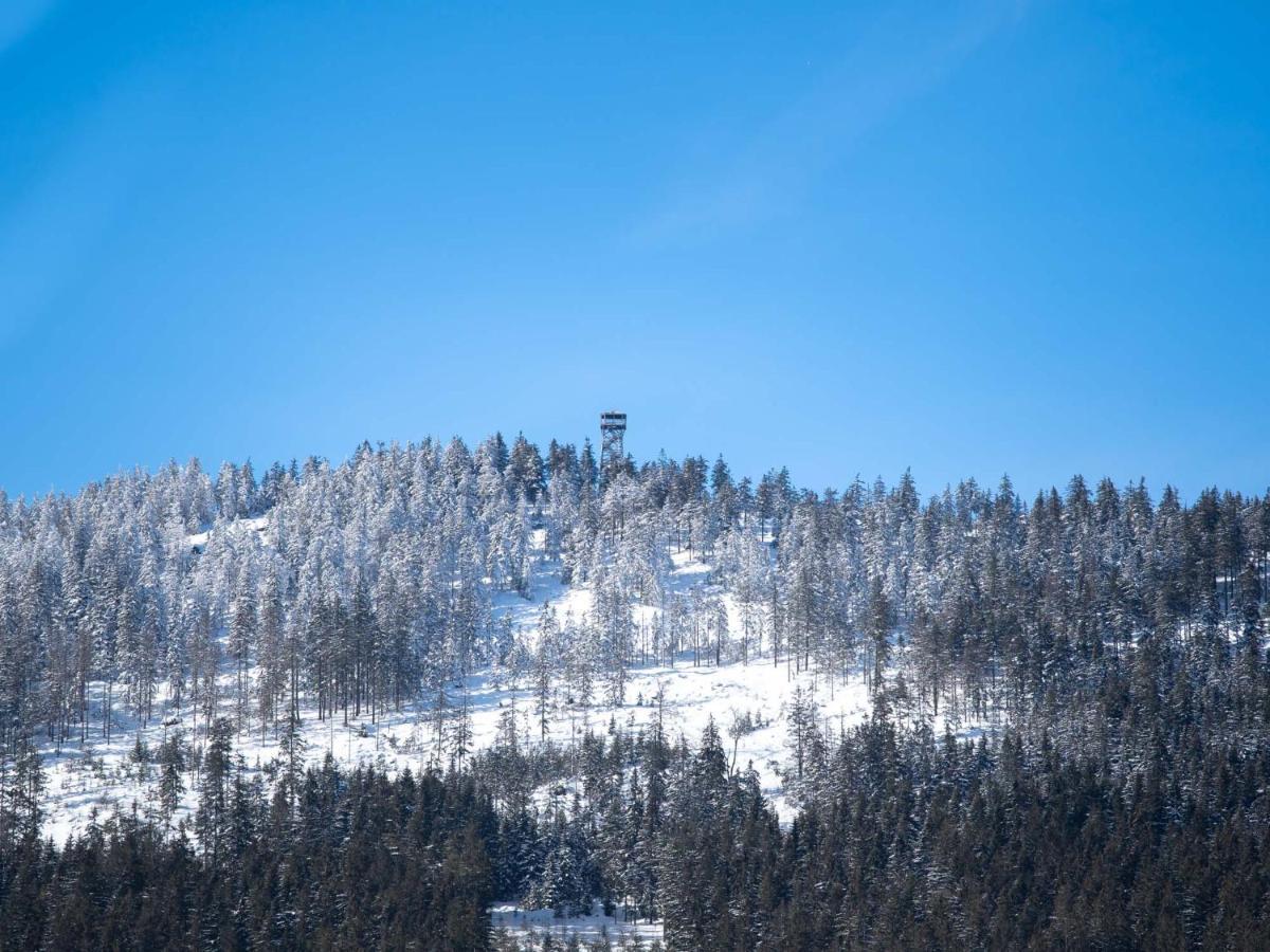 Hotel Treehous Sneznik S Wellness Dolna Morawa Zewnętrze zdjęcie